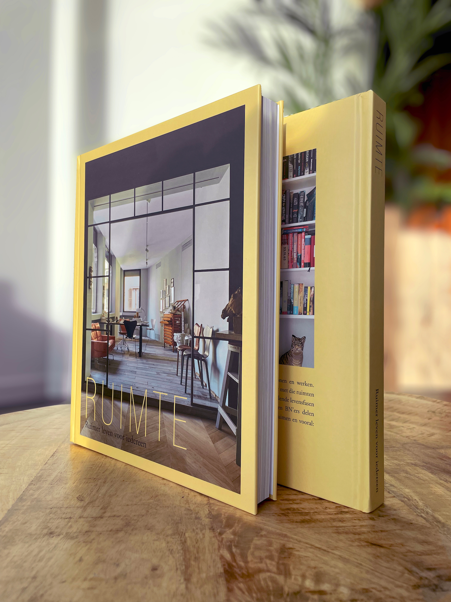 NIEUW: Het boek ‘RUIMTE’ – Ruimer leven voor iedereen